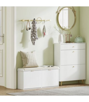 Shoe Storage Cabinet
