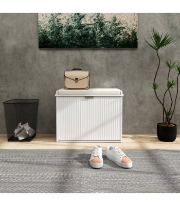 Shoe Storage Cabinet