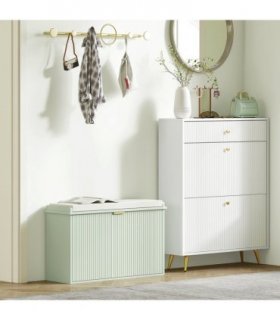 Shoe Storage Cabinet