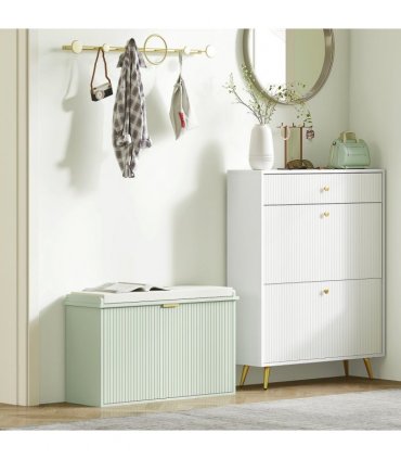Shoe Storage Cabinet