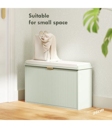 Shoe Storage Cabinet