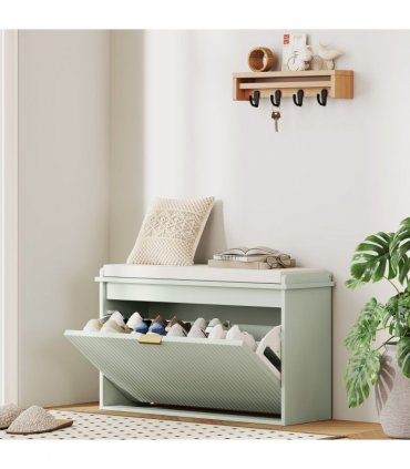Shoe Storage Cabinet