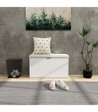 Shoe Storage Cabinet