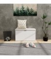 Shoe Storage Cabinet