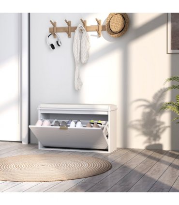Shoe Storage Cabinet