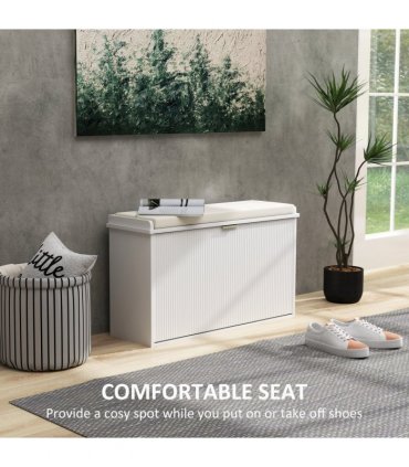 Shoe Storage Cabinet