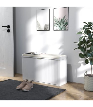Shoe Storage Cabinet