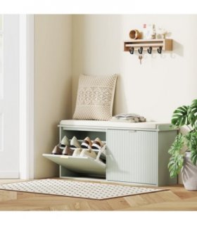 Shoe Storage Cabinet