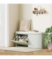 Shoe Storage Cabinet