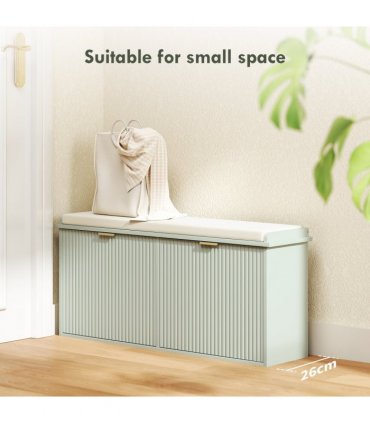 Shoe Storage Cabinet