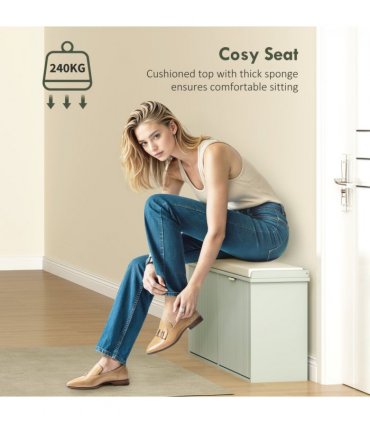 Shoe Storage Cabinet