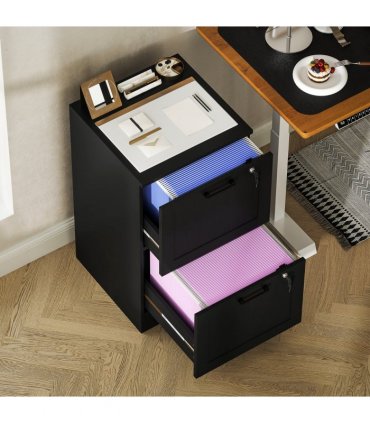 HOMCOM 2 Drawer File Cabinet with Lock and Adjustable Hanging Bars, Black