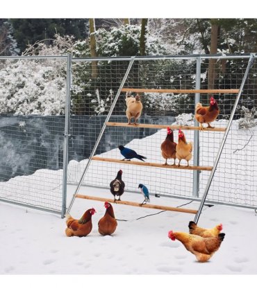 104*143cm  Outdoor chicken perch