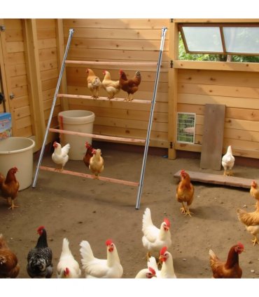 104*143cm  Outdoor chicken perch