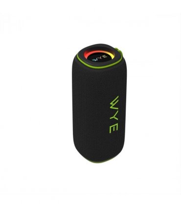 Wye 30W High Fidelity Wireless Speaker