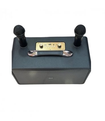 Panther Force Speaker with 2 wireless MIC & RGB LIGHT - PF306