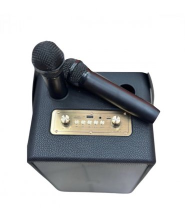 Panther Force Speaker with 2 wireless MIC & RGB LIGHT - PF305