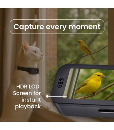 PetPOV (HD Camera Collar)