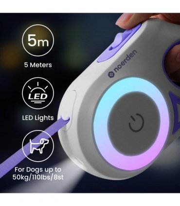 Flexi Leash (LED Retractable Leash)