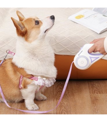 Flexi Leash (LED Retractable Leash)