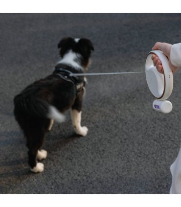 Lumi Leash (4-in-1 Reflective Leash with LED Torch & Poop Bag Dispenser)