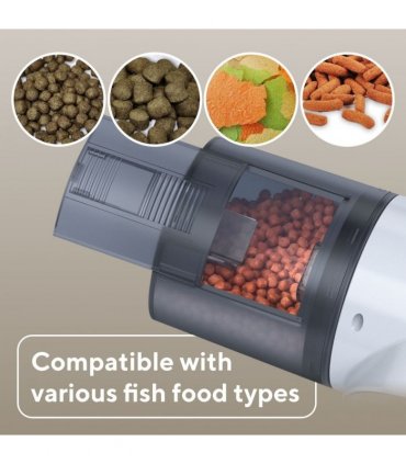 Splashy (Automatic Fish Feeder)