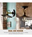 Adjustable Wall Sconce / Ceiling Fixture ~6461