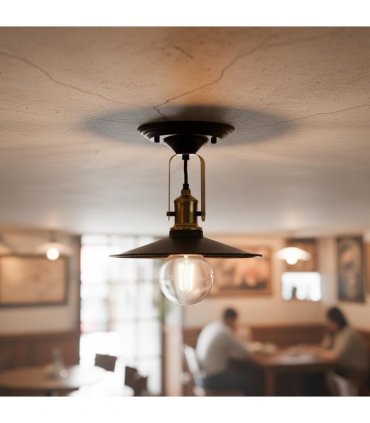 Adjustable Wall Sconce / Ceiling Fixture ~6461