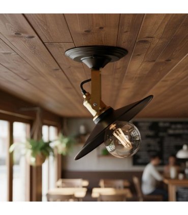 Adjustable Wall Sconce / Ceiling Fixture ~6461