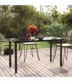 vidaXL Garden Dining Table Black 200x100x74cm Steel and Tempered Glass