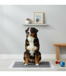 vidaXL Non-woven Fabric Pet Training Pad 300 pcs 120 x 80 cm