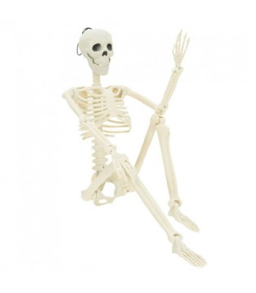 vidaXL Halloween Skeleton 2 pcs White 85 cm Polypropylene