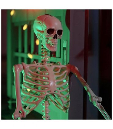 vidaXL Halloween Skeleton 2 pcs White 85 cm Polypropylene