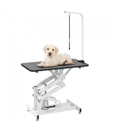 Hydraulic Bath Grooming Table for Dogs Cats Pets Adjustable