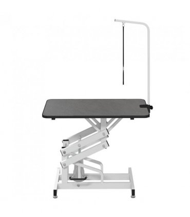 Hydraulic Bath Grooming Table for Dogs Cats Pets Adjustable