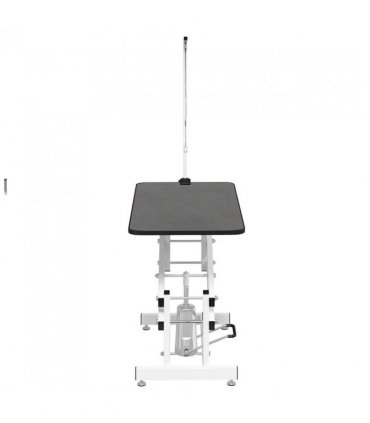 Hydraulic Bath Grooming Table for Dogs Cats Pets Adjustable
