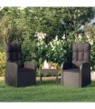 vidaXL Reclining Garden Chairs with Cushions 2 pcs Black Poly Rattan