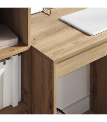 vidaXL Desk with Drawer with Shelf with Storage 2 pcs Artisan Oak