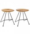 vidaXL Stools 2 pcs Solid Teak Wood