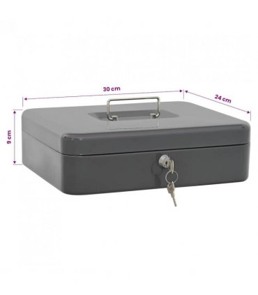 vidaXL Cash Box with Lock Dark grey 30 x 24 x 9 cm Steel