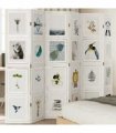 vidaXL Room Divider 6 Panels White Solid Wood Paulownia