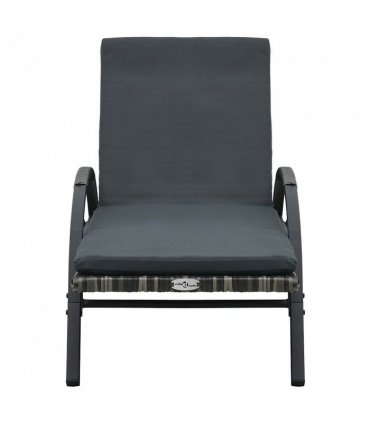 vidaXL Sun Lounger | Anthracite and Grey | PE Rattan and Powder-Coated Steel