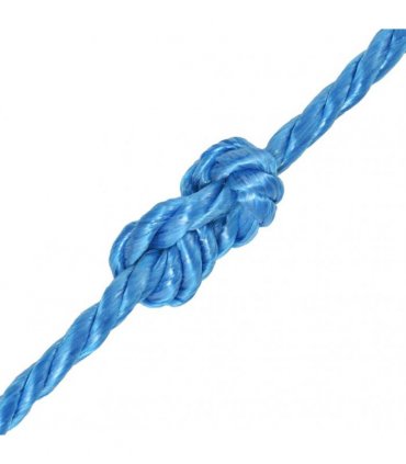 vidaXL Twisted Rope Polypropylene 16 mm 100 m Blue