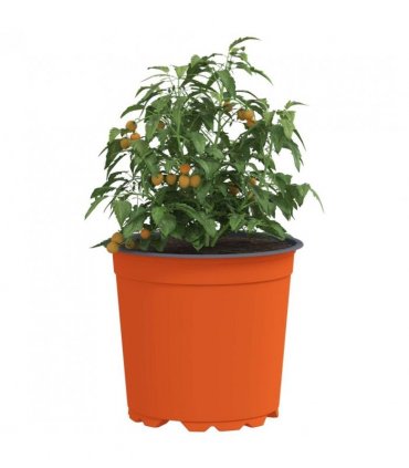 vidaXL Flower Pot 200 pcs Terracotta Ø 15 x 13 cm Plastic