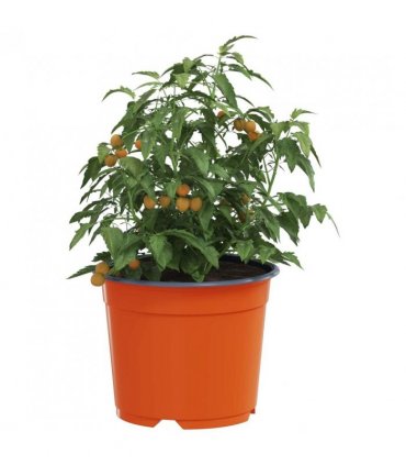 vidaXL Round Flower Pot 200 pcs Terracotta Ø 10 x 8 cm Plastic