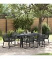 vidaXL Garden Dining Set 7 pcs Black Poly Rattan