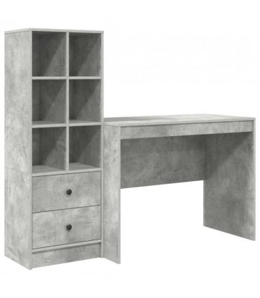 vidaXL Desk with Drawer 2 pcs Concrete Grey