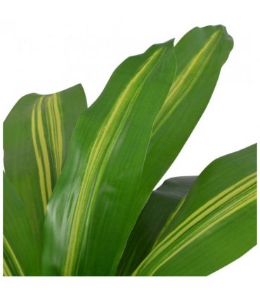 vidaXL Artificial Dracaena Plant with Pot 90 cm Green