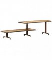 vidaXL TV Cabinet 160x30x40 cm Solid Mango Wood