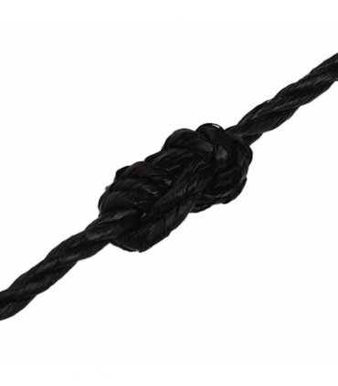 vidaXL Work Rope Black 6 mm 250 m Polypropylene